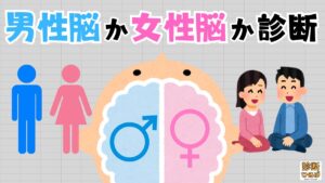 【無料診断テスト】男性脳か女性脳か診断｜おもしろ診断ひろば | 診断ひろば